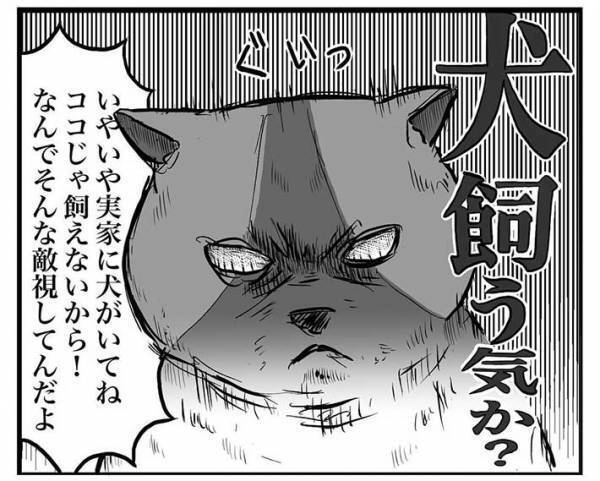 実家の犬が恋しくて、動画を見ていた男性　そばにいる猫の『表情』に吹き出す