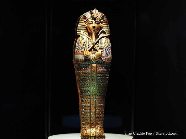 「笑いをこらえるのが大変」　飼い主の隣で眠る猫、その独特な寝相とは？