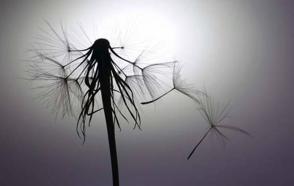 心がざわざわするときは、今すぐにできる浄化法を試して