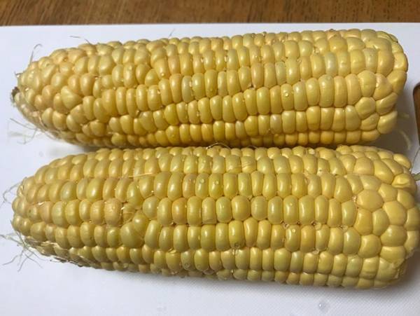 トウモロコシがいつまでもみずみずしい！ゆでた後に一手間かけるだけ