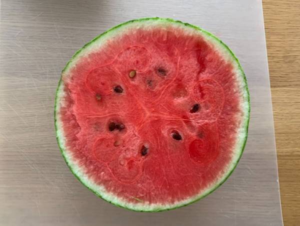 もう面倒くさいとはいわせない　種が取りやすいスイカの切り方