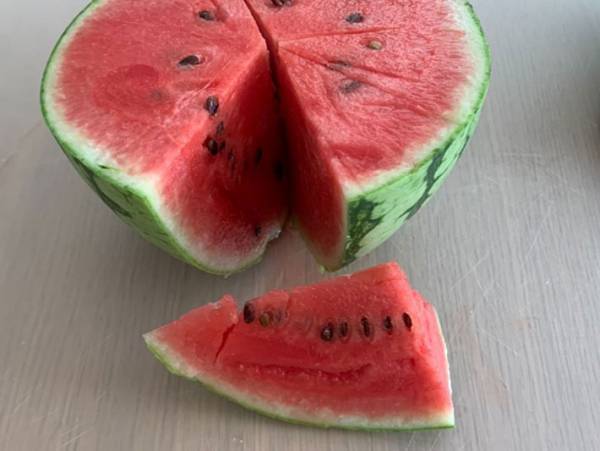 もう面倒くさいとはいわせない　種が取りやすいスイカの切り方