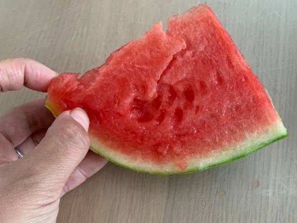 もう面倒くさいとはいわせない　種が取りやすいスイカの切り方
