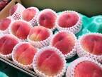 箱で届いた桃　食べきれず、保存したい場合に役立つのがアルミホイル