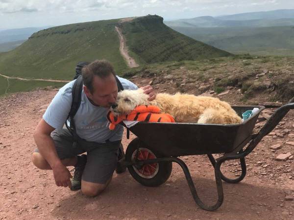 幸せだね　飼い主と『最後のハイキング』を楽しんだ犬　「涙があふれた」