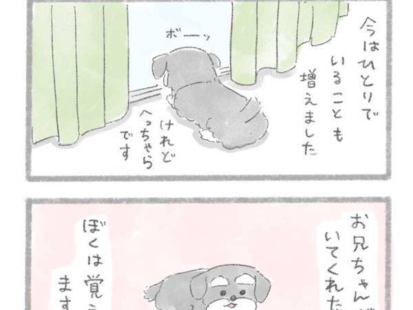 大号泣するに決まっている…　仲良しのお兄ちゃんが家を離れてしまい？