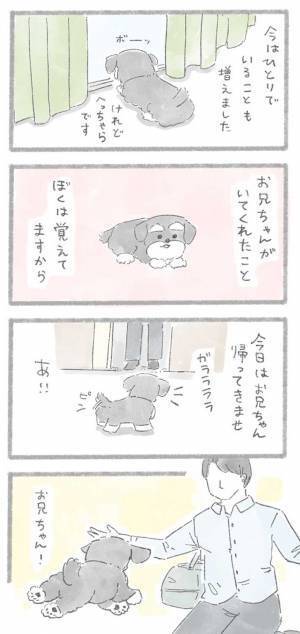 大号泣するに決まっている…　仲良しのお兄ちゃんが家を離れてしまい？