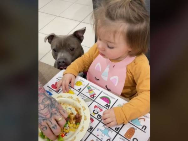 その手があったか！　野菜嫌いの子供に野菜を食べさせる方法に絶賛の声