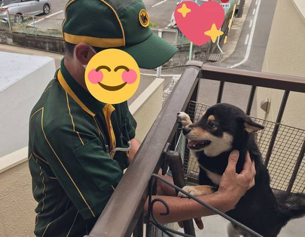 ヤマトの配達員が大好きな黒柴　喜びを隠せない姿に「最高の３枚」「なんて癒し」