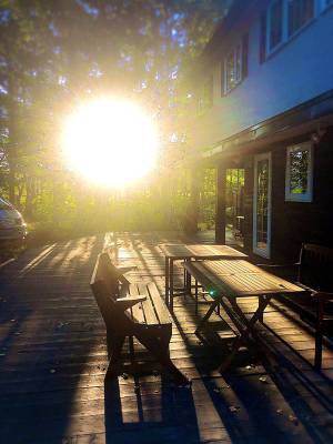 「綺麗な夕日じゃねぇか…ん？」　愛犬の『奇跡の１枚』が強すぎると話題