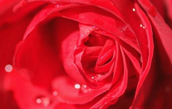 天然と現実の間で揺れる年頃　その揺れも人生の一部として楽しんで