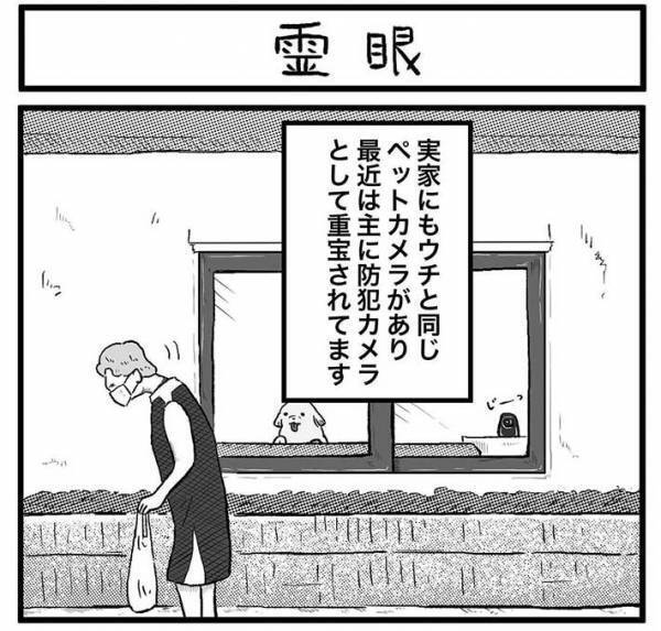 母親「ペットカメラに大変なものが映ってた」　怪談話のオチに、爆笑！