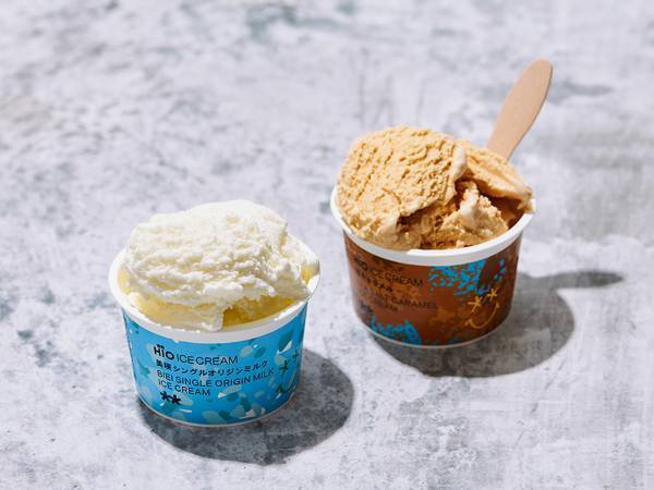 優しい味の自然派アイス、関東ローソンに上陸！　バニラと塩キャラメルの２種がラインナップ