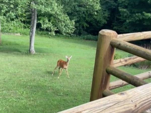 「今、ママが行くわよ！」　赤ちゃんの泣き声を聞いて駆けつけたのは？