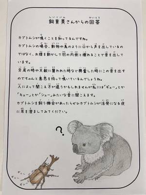 ５歳児「カブトムシはなんて鳴くの？」　飼育員の『回答』に、驚きの声