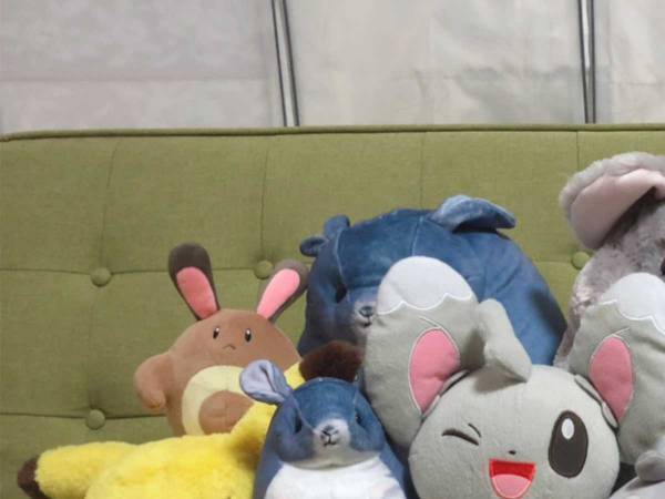 「笑った」「これは確信犯」　飼い主が部屋中探したチンチラの姿がこちら