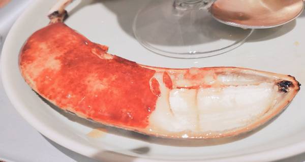 立派なカニの脚かと思いきや？『失敗写真』に「８度見した」「脳がバグる」