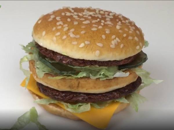 おいしそうなビッグマックかと思ったら？　「言葉を失う」「脳がバグった」