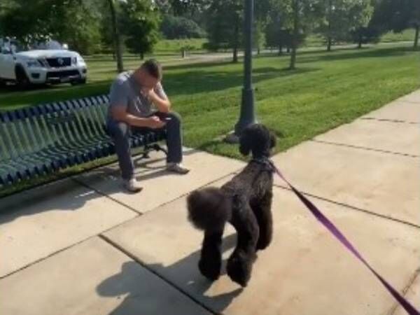 突然大好きな人が目の前にいたら 犬は気付く かわいすぎる 21年8月11日 ウーマンエキサイト 1 3