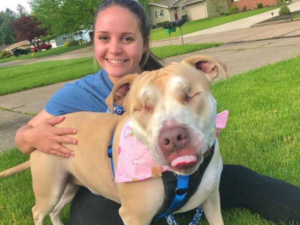 飼い主に捨てられ、両目を失ったピットブル　現在の姿に涙があふれる