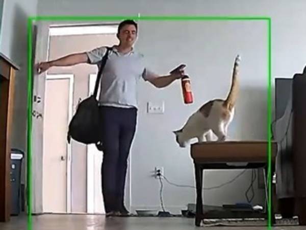 「僕が帰宅した時の猫のリアクションを見て」　動画に２３万『いいね』