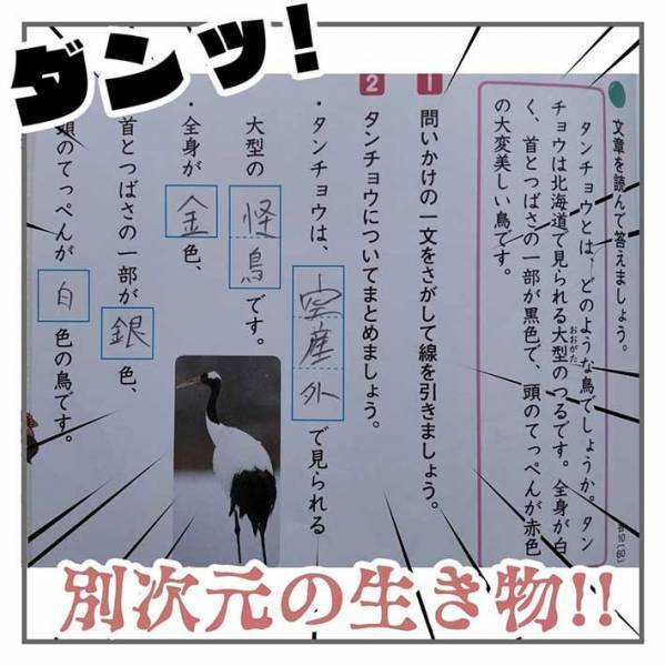 丸がつけられない…！　母親が息子の宿題に発狂しそうになったワケ