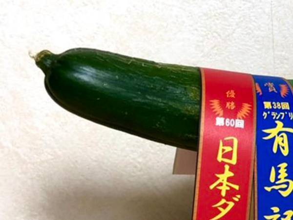 「絶対強い」「テンション上がるわ」　『最強最速の精霊馬』が斬新すぎると話題に