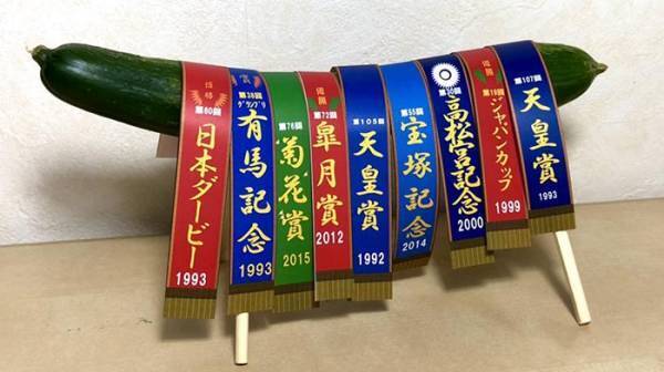 「絶対強い」「テンション上がるわ」　『最強最速の精霊馬』が斬新すぎると話題に