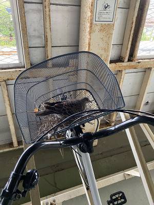 停めていた自転車を見て「ウソでしょ？」　その理由に笑う人が続出！