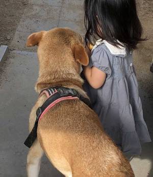 「知能犯だ」「現行犯！」　娘に懐いている犬かと思いきや、本来の目的は？