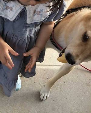 「知能犯だ」「現行犯！」　娘に懐いている犬かと思いきや、本来の目的は？