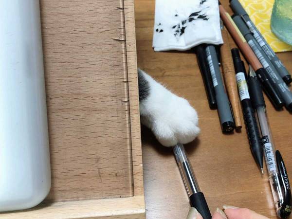 仕事をしていたら…？　机の下から『出てきたもの』に、１７万人がニッコリ