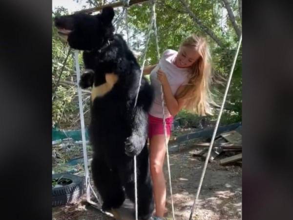 「これってリアル？」　クマと暮らす女性の日常がまるで映画のワンシーン