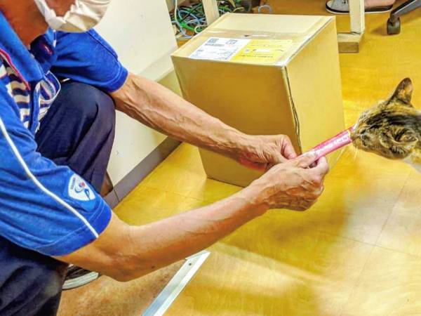 猫が大好きな佐川急便の配達員　荷物を届けに来ると…『ほほ笑ましい光景』がこちら