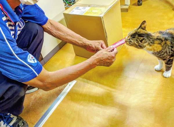 猫が大好きな佐川急便の配達員　荷物を届けに来ると…『ほほ笑ましい光景』がこちら
