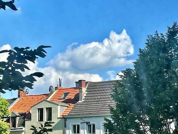 天国にいる愛犬からのサイン？　悲しみに暮れる男性が空を見上げると…