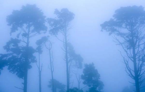 森羅万象とどうつながっていくか　本来持ち続けてきた『自然（じねん）』の感性を意識する