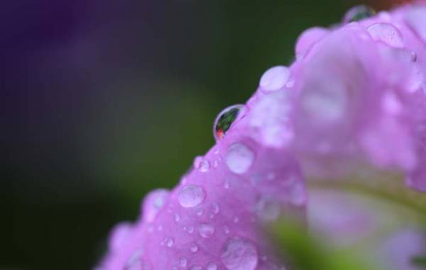 森羅万象とどうつながっていくか　本来持ち続けてきた『自然（じねん）』の感性を意識する