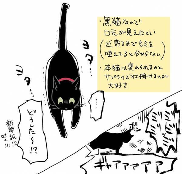 『限界な表情』の猫　心配で駆け寄ったら、怖い思いをすることに！