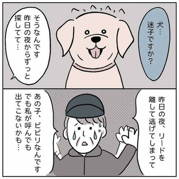 泣きながら愛犬を探すおじいさんと遭遇、１５年越しの感謝の言葉にグッとくる