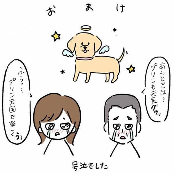 泣きながら愛犬を探すおじいさんと遭遇、１５年越しの感謝の言葉にグッとくる