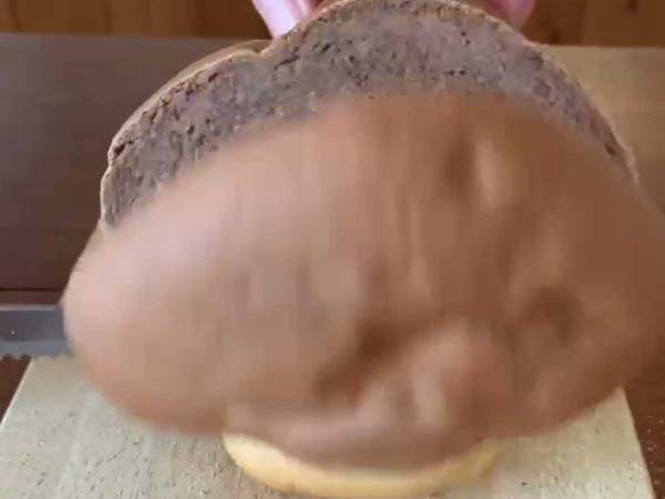 シイタケを切ったら…？　中から出てきたものに「予想外すぎた」と世界中で反響