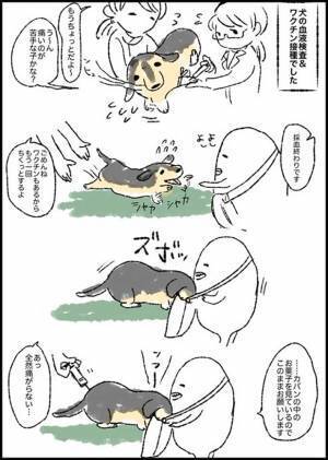 まさかのスタイルで注射をされる犬　「この方法があったか…」と飼い主から反響