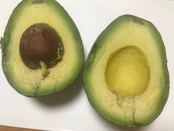 これは知らなかった…固いアボカドをあるものと一緒に保存するだけで柔らかくなる！