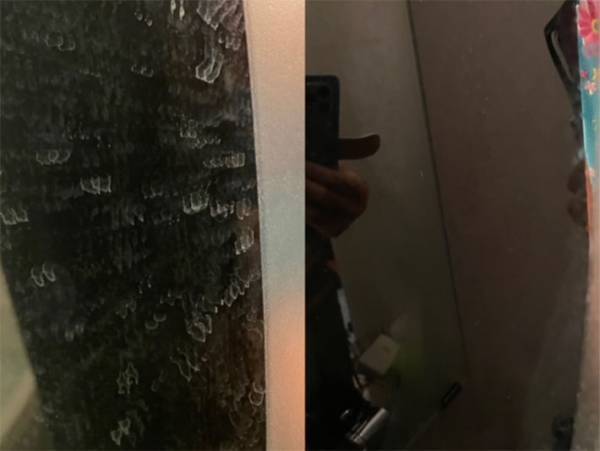 ホタテ貝があのウロコを落とします！１００均 鏡のウロコ取りが進化！