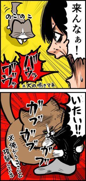 室内にハチが侵入　安全に外に出そうとした結果「俺は一体何と闘ってるんだ」