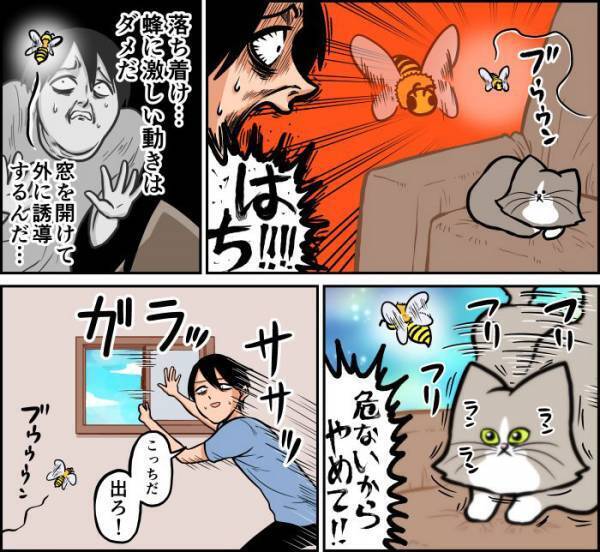 室内にハチが侵入　安全に外に出そうとした結果「俺は一体何と闘ってるんだ」
