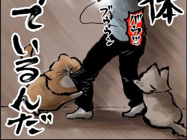 室内にハチが侵入　安全に外に出そうとした結果「俺は一体何と闘ってるんだ」