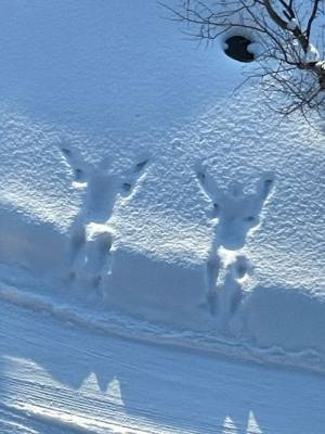 美しい風景…と思いきや？　視界の端っこにうつっていたのは