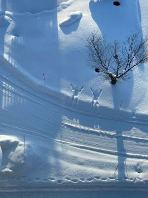 美しい風景…と思いきや？　視界の端っこにうつっていたのは